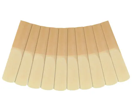 Classic Cantabile TSB-25 Confezione Da 10 Ance Per Sassofono Tenore Spessore 2,5 Offerta Del Giorno