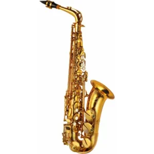 Prezzo Conveniente Sassofono Alto P. Mauriat SA-185 Verniciato Oro