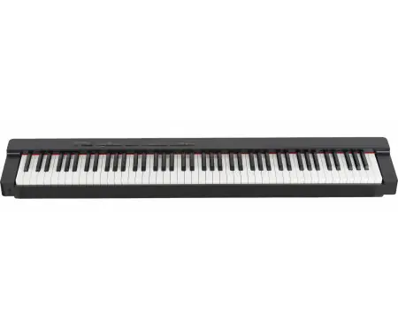 Miglior Prezzo Classic Cantabile SP-316 Stage Piano Nero