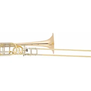 Miglior Prezzo Shires Trombone Basso TBQ36GR
