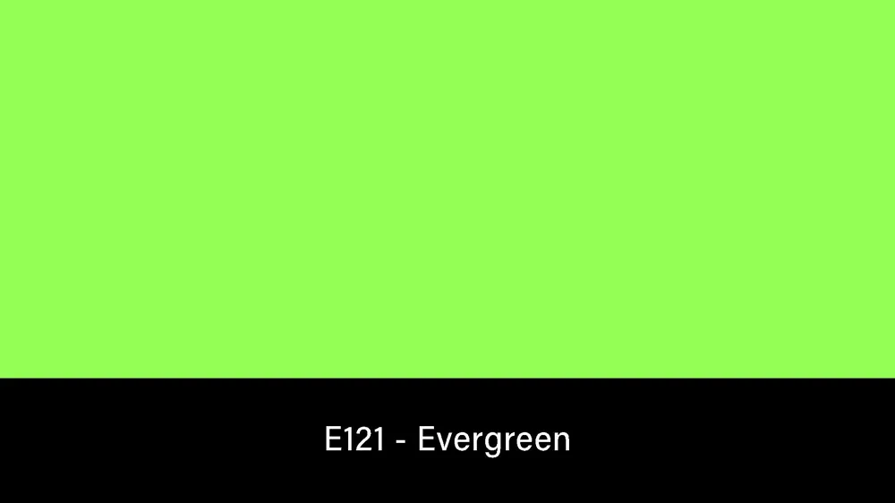 Nuova Collezione Rosco E-Colour+ 121 Evergreen – Rouleau de gelée 1.2×7.6m