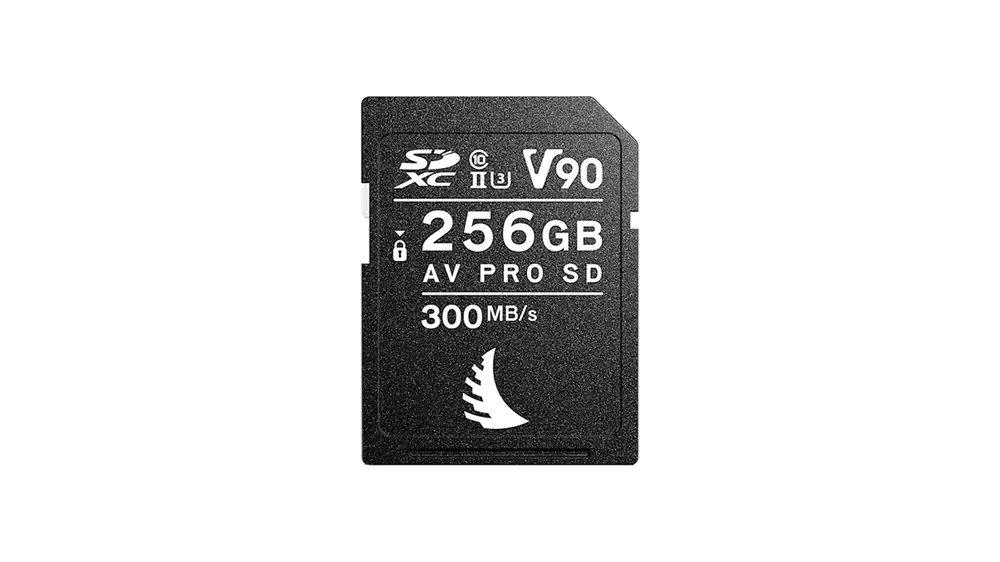 Compra Adesso Tarjeta de memoria SD Angelbird AV Pro 256 GB UHS-II V90