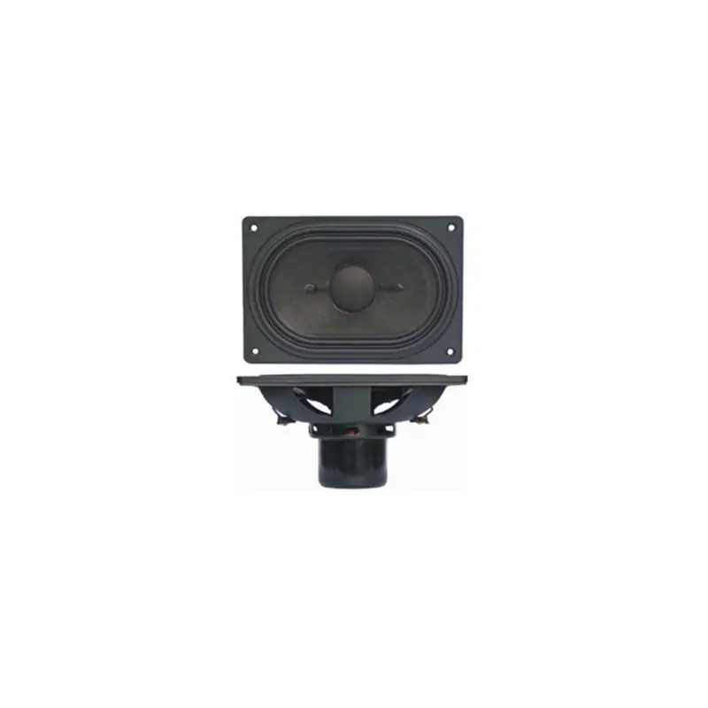 W46-1316SM - 4x6" Subwoofer TB Speaker - Magnete in Neodimio - Cono in carta - 4 ohm Promozione