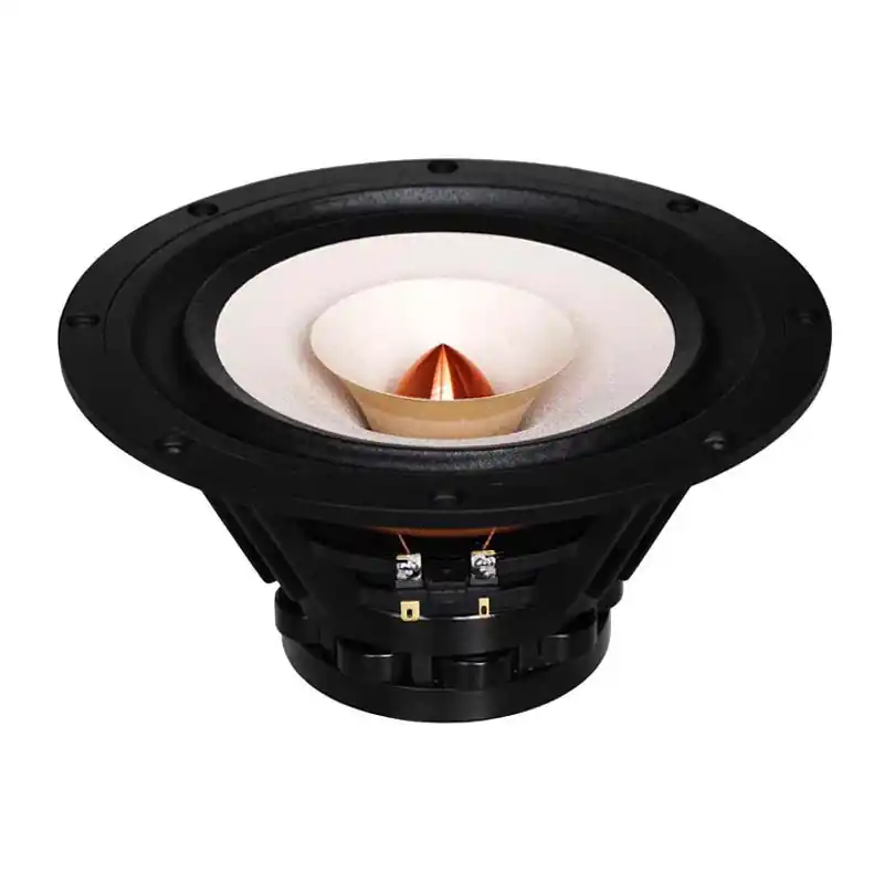 W8-1808 - 8" Full Range TB Speaker - Magnete in Neodimio - Cono in carta - 8 ohm Promozione Esclusiva